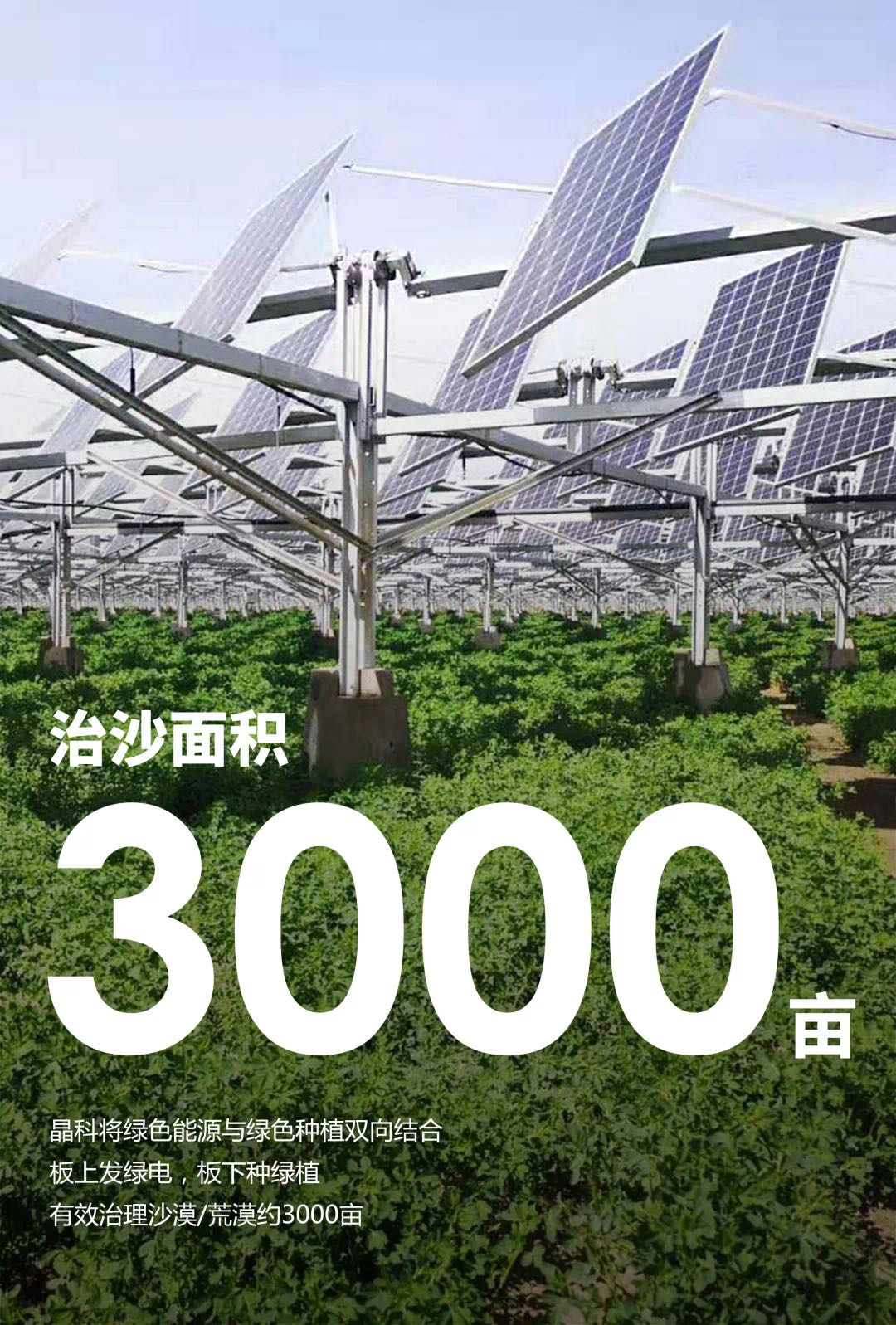 圖片2.jpg